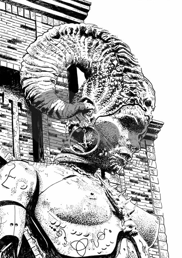 La Gardienne des Ténèbres – De Profil – Image 2